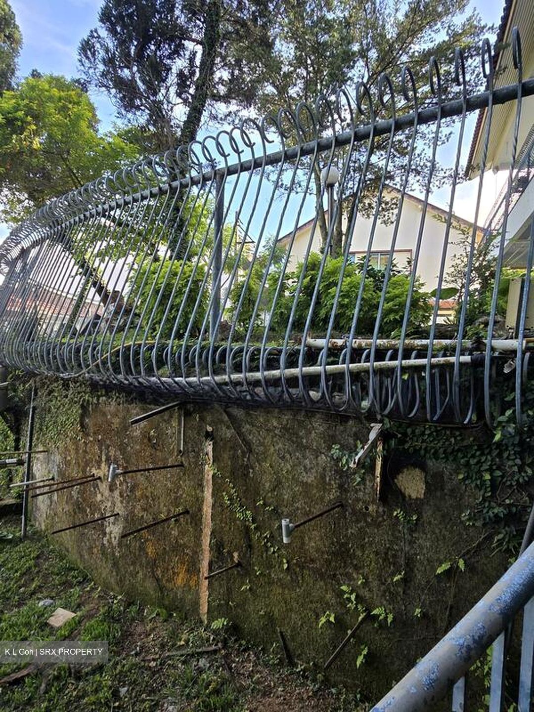 Siglap Road (D15), Detached #502296631
